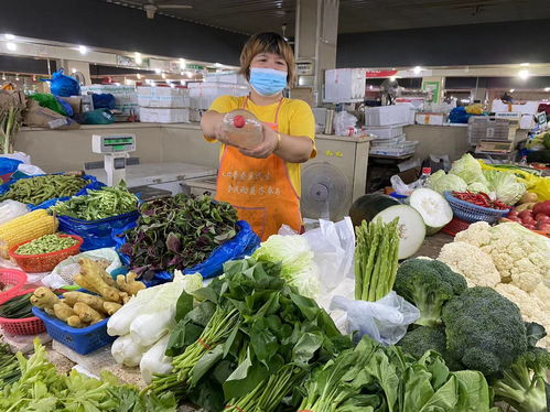 夏日冷链护航，松江城“菜篮子”新鲜度夏