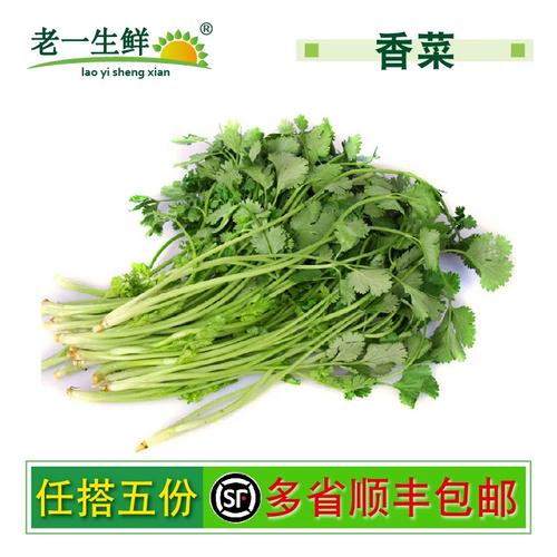 【老一生鲜】 新鲜蔬菜 香菜 芫荽 250g